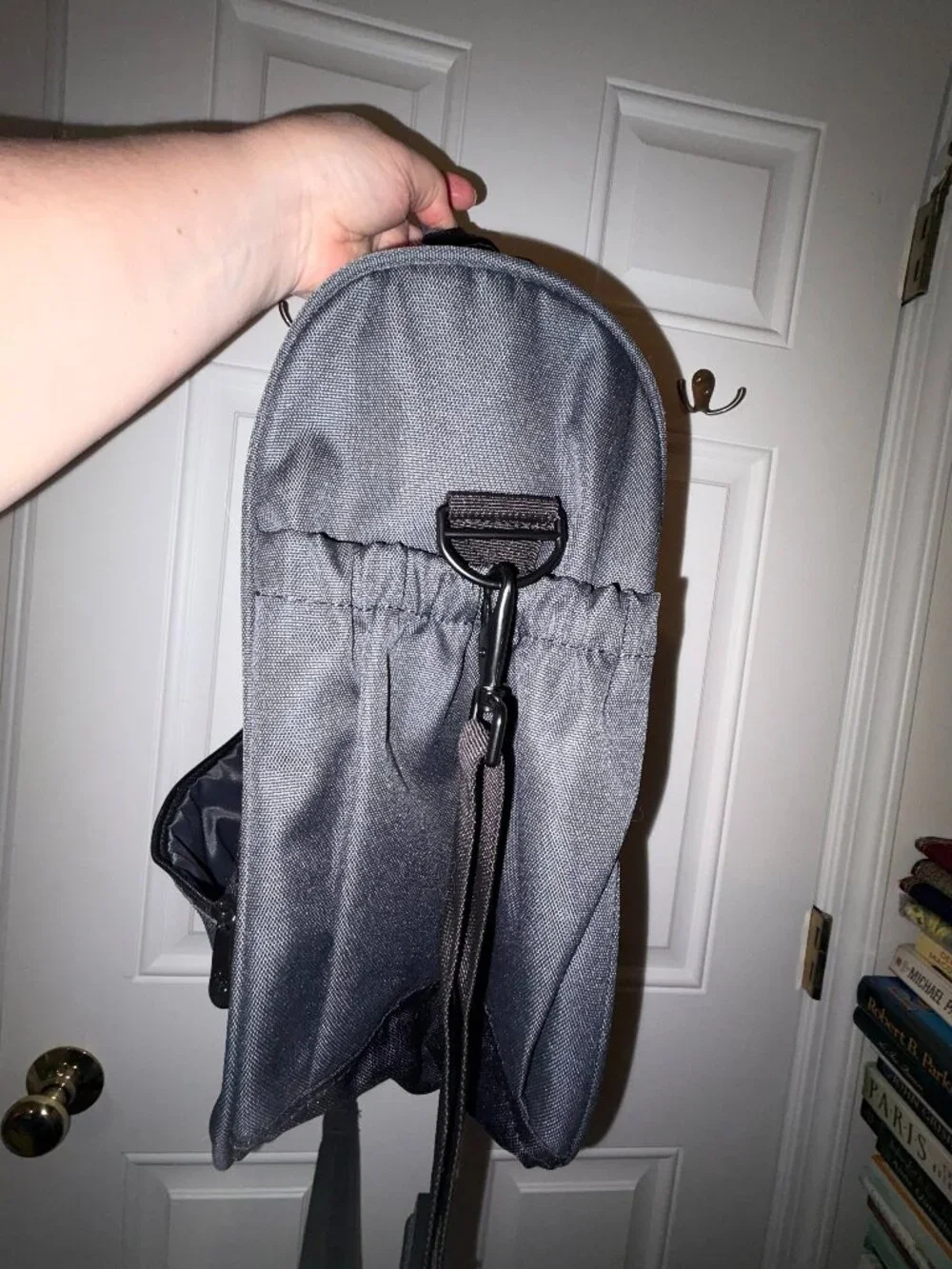 Rick Steves Euro Flight Bag